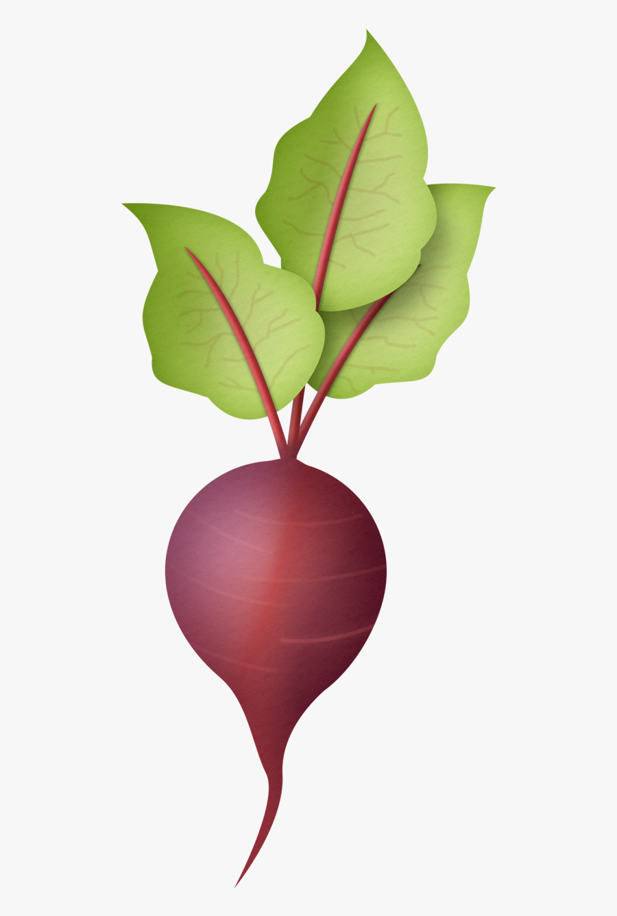 Radish Clipart - Radish Clipart Png, Transparent Clipart