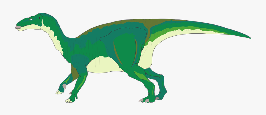 Green, Dinosaur, Standing, Tail, Ancient - Iguanodon Facts For Kids, Transparent Clipart