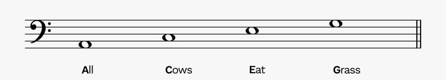 Bass, Transparent Clipart