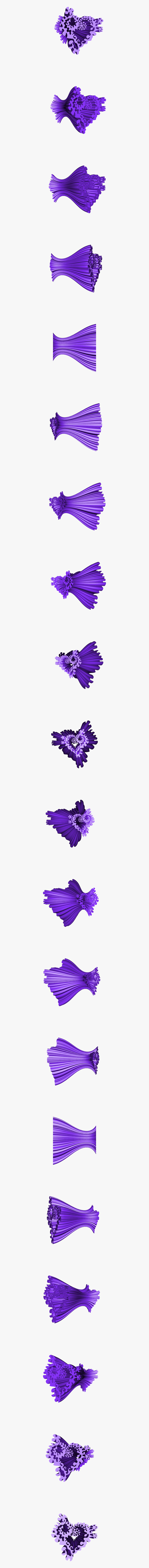 African Daisy, Transparent Clipart