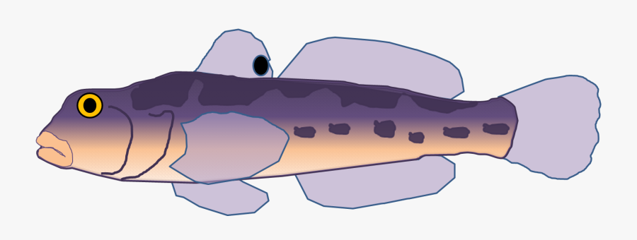 Seemed Innocuous / Aggressive Bottom-dweller / Round, Transparent Clipart