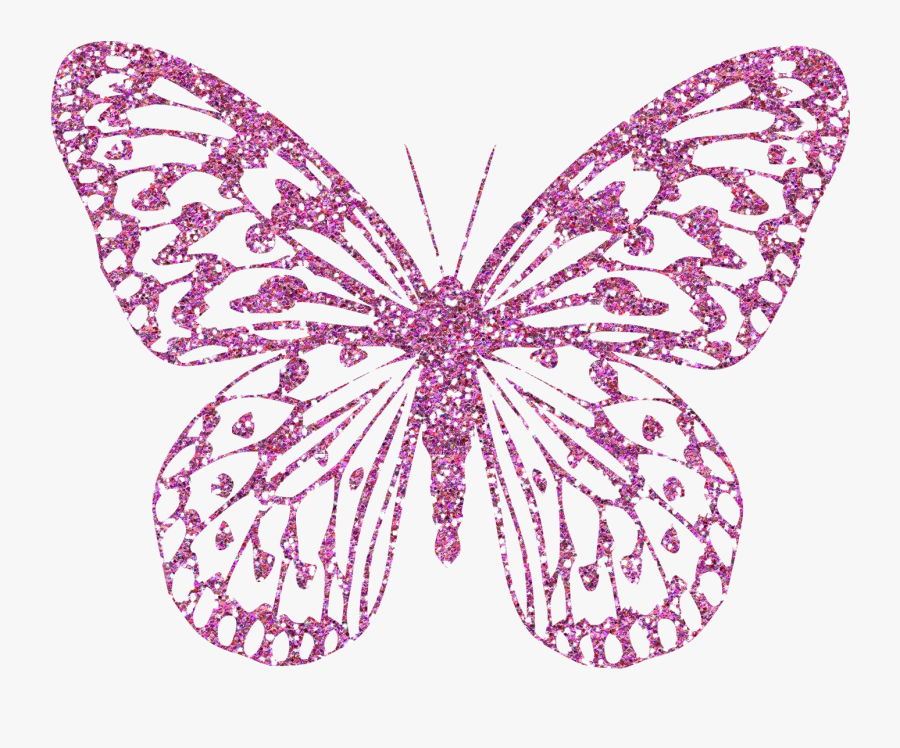 Bug Images, Butterfly Clip Art, Clipart Images, Pink - Decorative Butterfly Png, Transparent Clipart