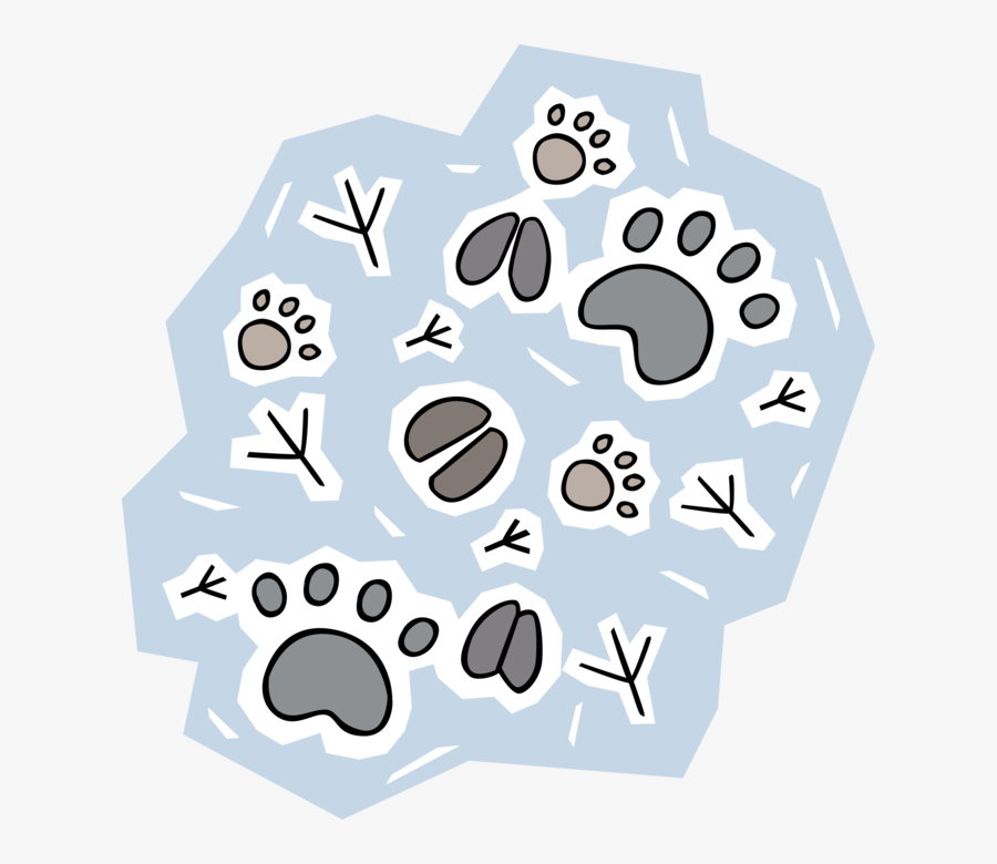 Transparent Snow Vector Png - Observation And Inference Scenario, Transparent Clipart