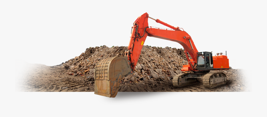 Plant, Transparent Clipart