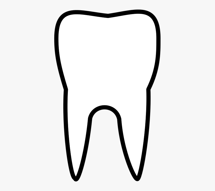 Tooth, Molar, Dental, Dentist, Outline - Dente Molar Png, Transparent Clipart