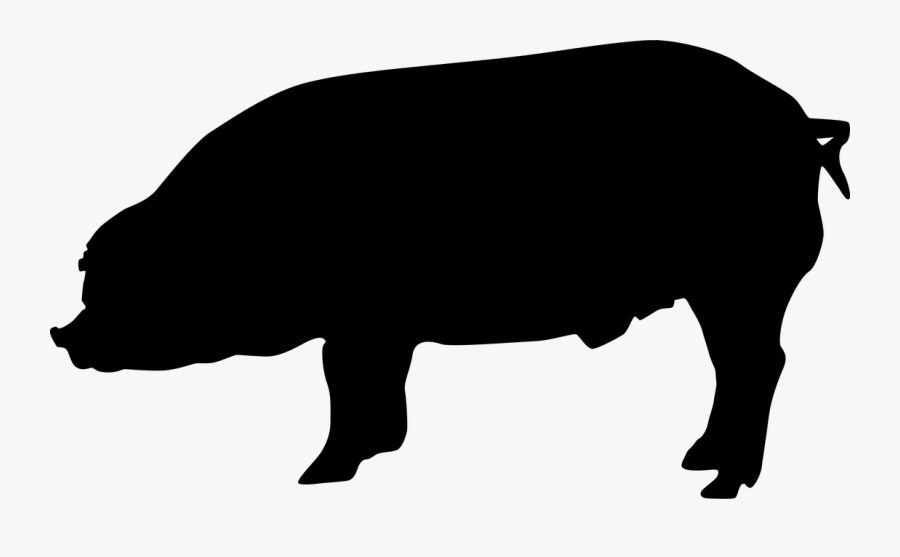 Transparent Henry And Mudge Clipart - Duroc Pig Silhouette, Transparent Clipart