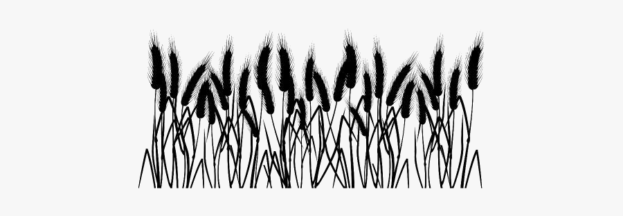 Wheat Border Png Transparent Images - Monochrome, Transparent Clipart