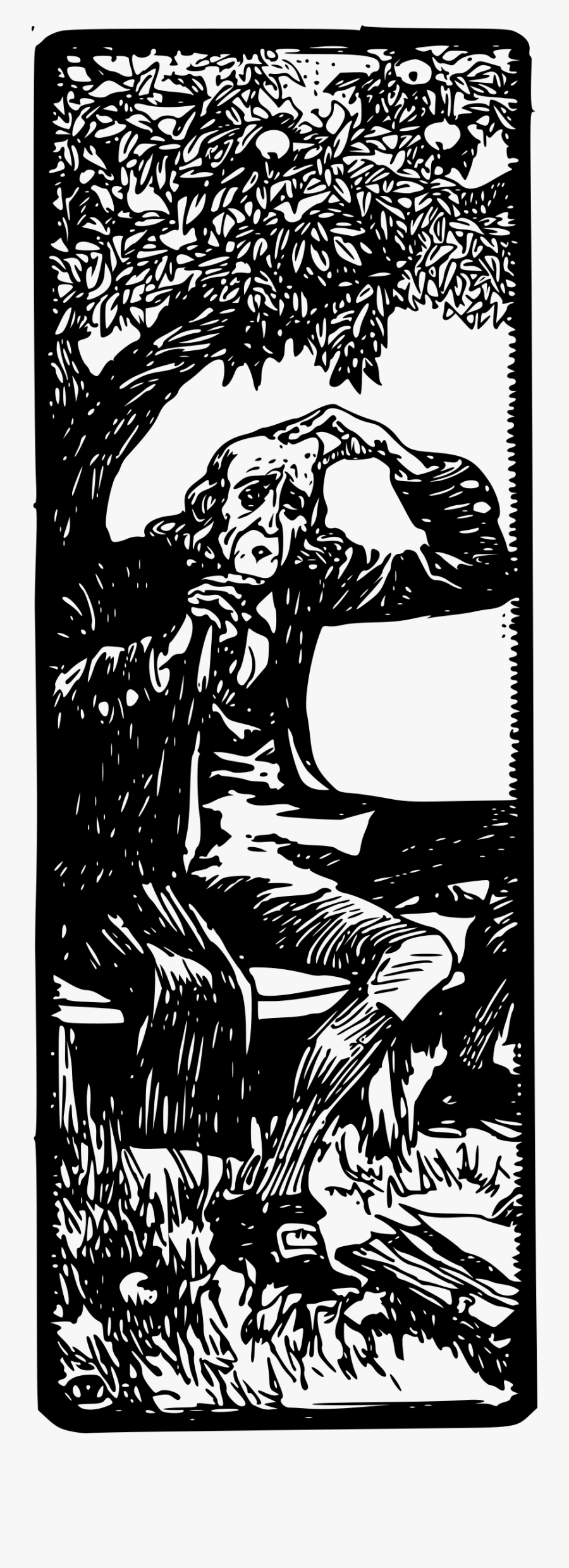 Newton Clip Arts - Illustration, Transparent Clipart