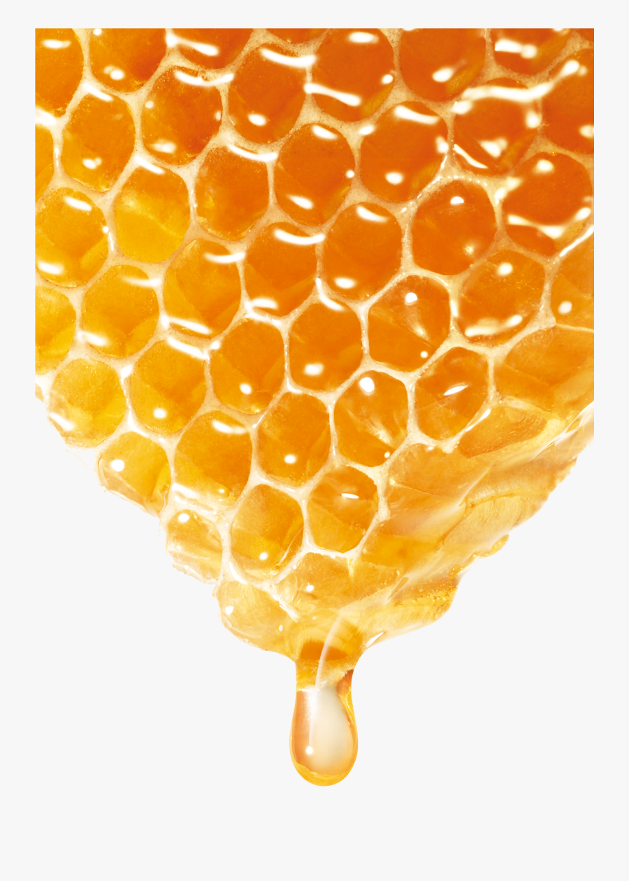 Honeycomb Stick Png, Transparent Clipart