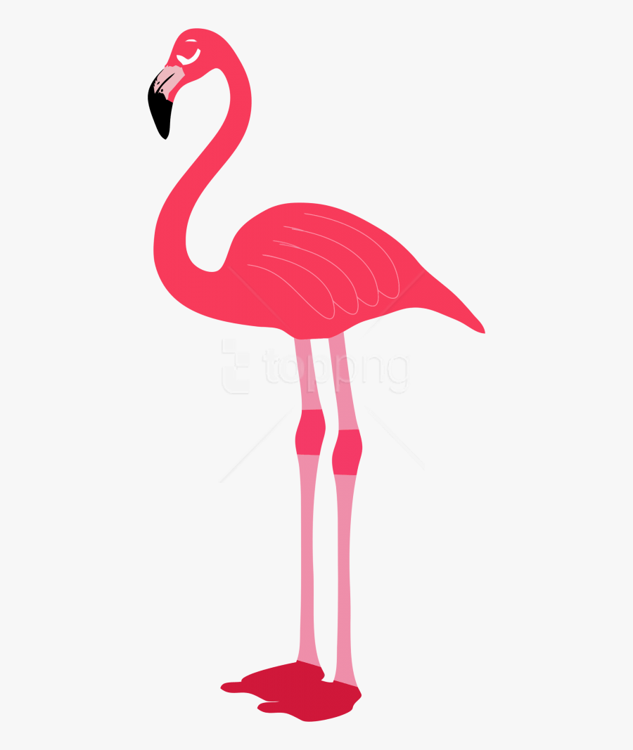 Free Png Download Flamingo Png Images Background Png - Flamingo Png, Transparent Clipart
