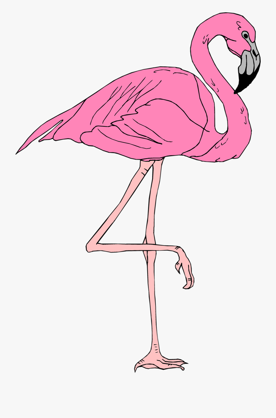 Flamingo Clip Pretty - Pink Flamingo No Background, Transparent Clipart