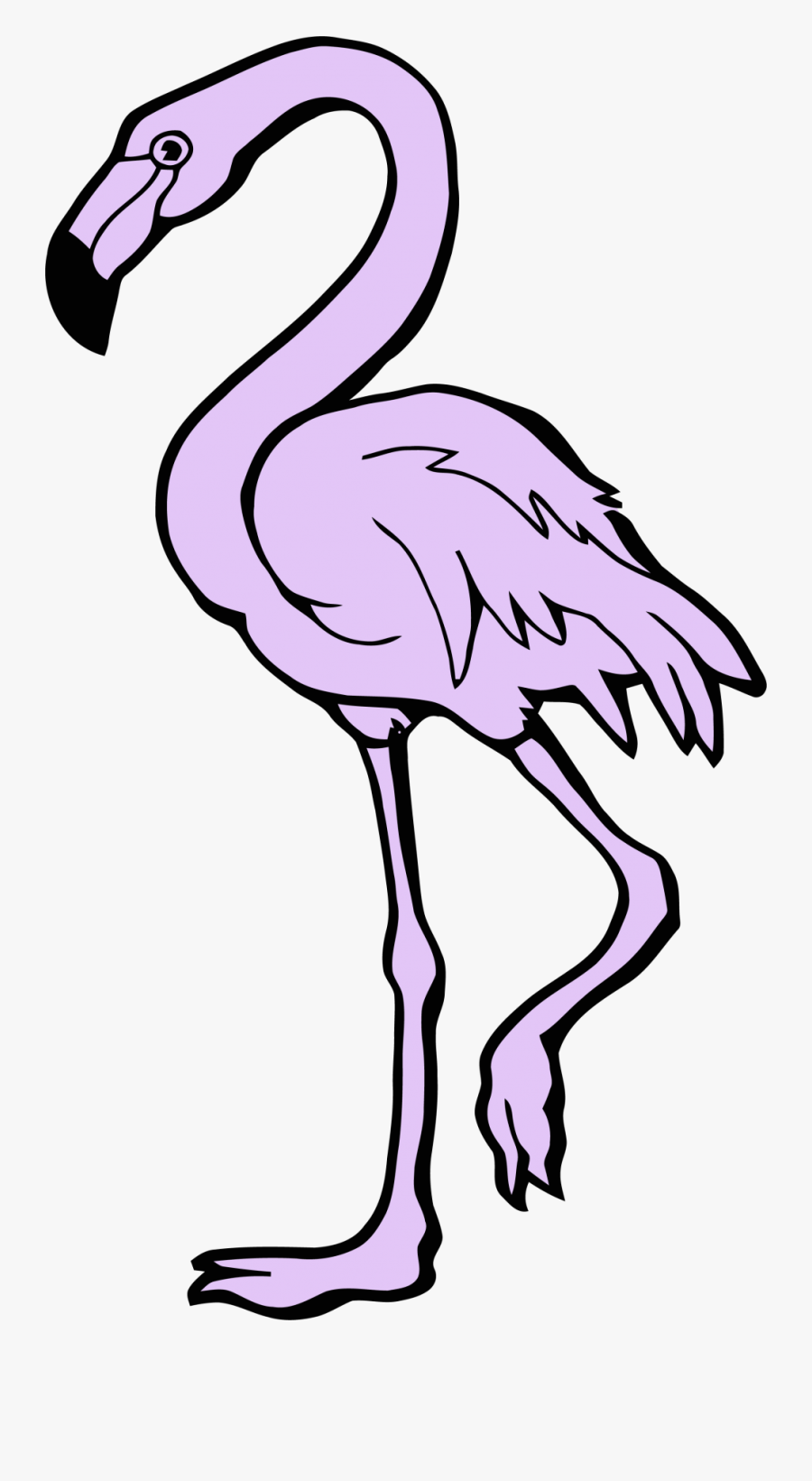 Never Shout Never Album Cover, Transparent Clipart