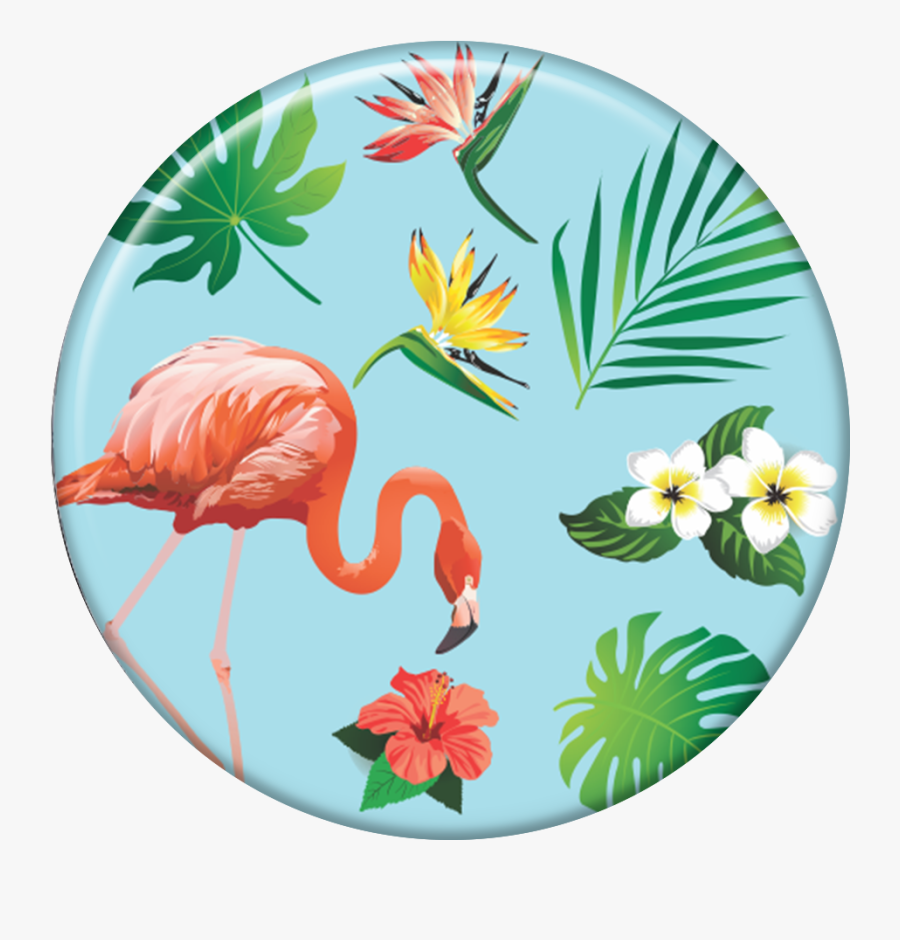 Clip Art Desenho Flamingo - Greater Flamingo, Transparent Clipart