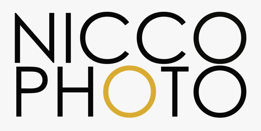 Niccolò Guasti Photography - Circle, Transparent Clipart