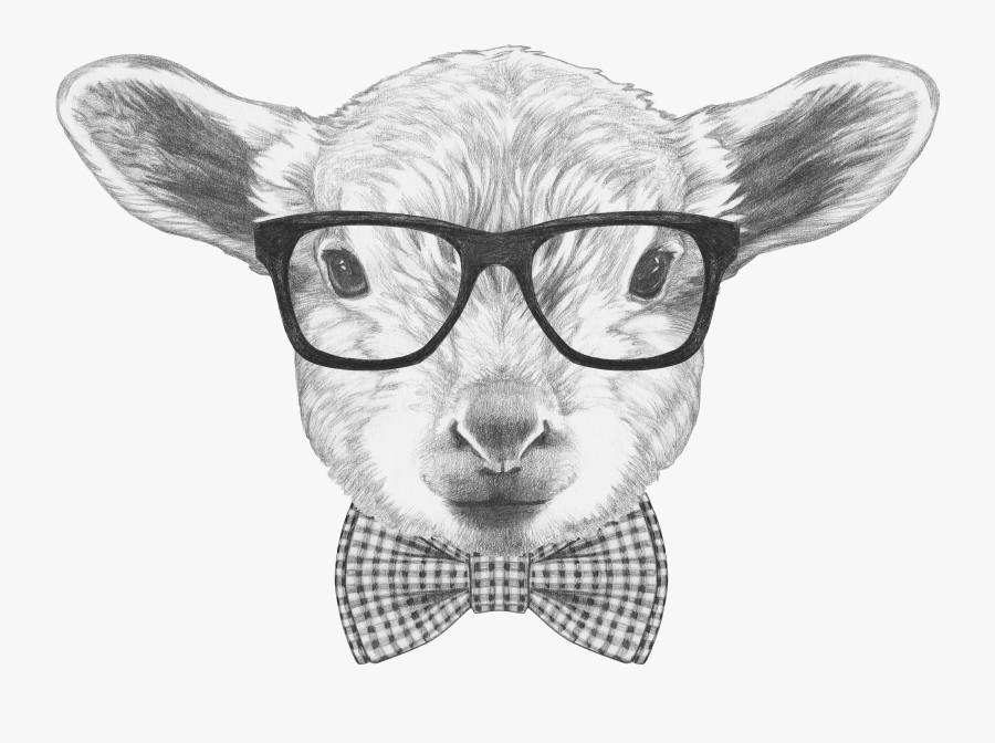 Lamb Wearing Glasses, Transparent Clipart