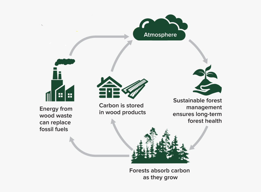Climate Drawing Soil Conservation, Transparent Clipart