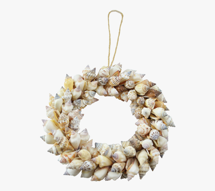 Clip Art Seashell Wreath - Wreath, Transparent Clipart