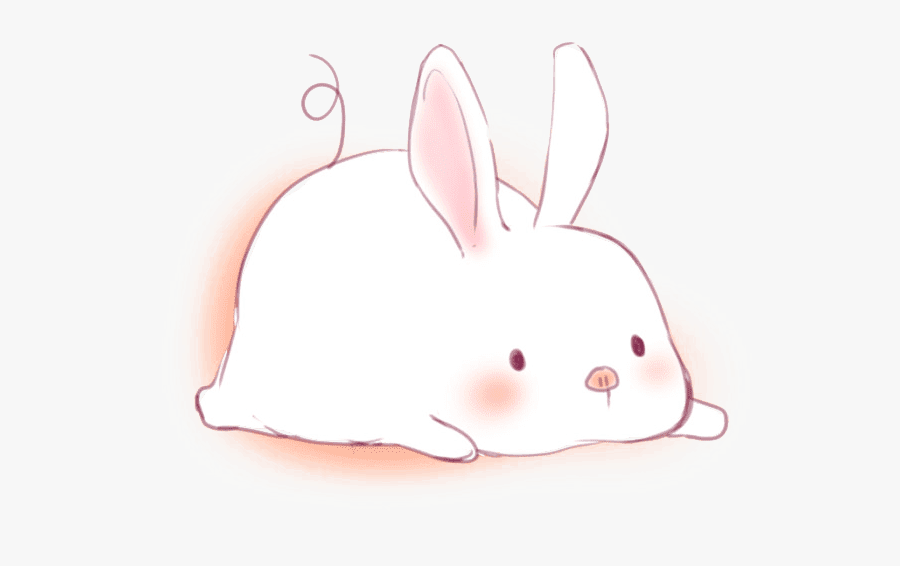 Domestic Rabbit, Transparent Clipart