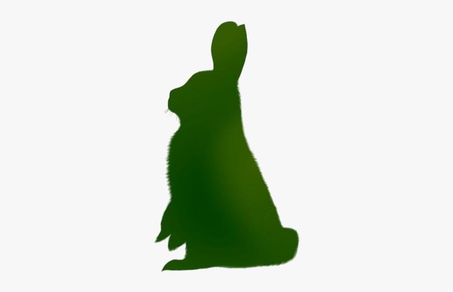 Cute Bunny Png Transparent Images - Hare, Transparent Clipart