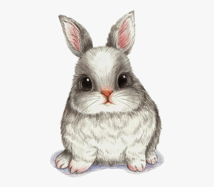 Drawing Watercolor Painting Art Image - Fat Rabbit Cartoon Drawing, Transparent Clipart