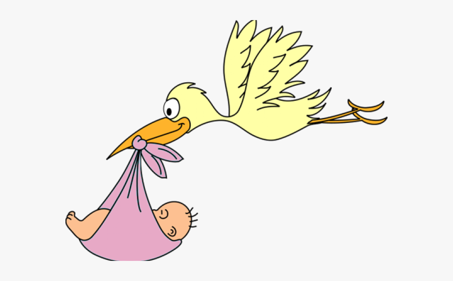 Pelican Clipart Baby - Newborn Baby Cartoon Png, Transparent Clipart