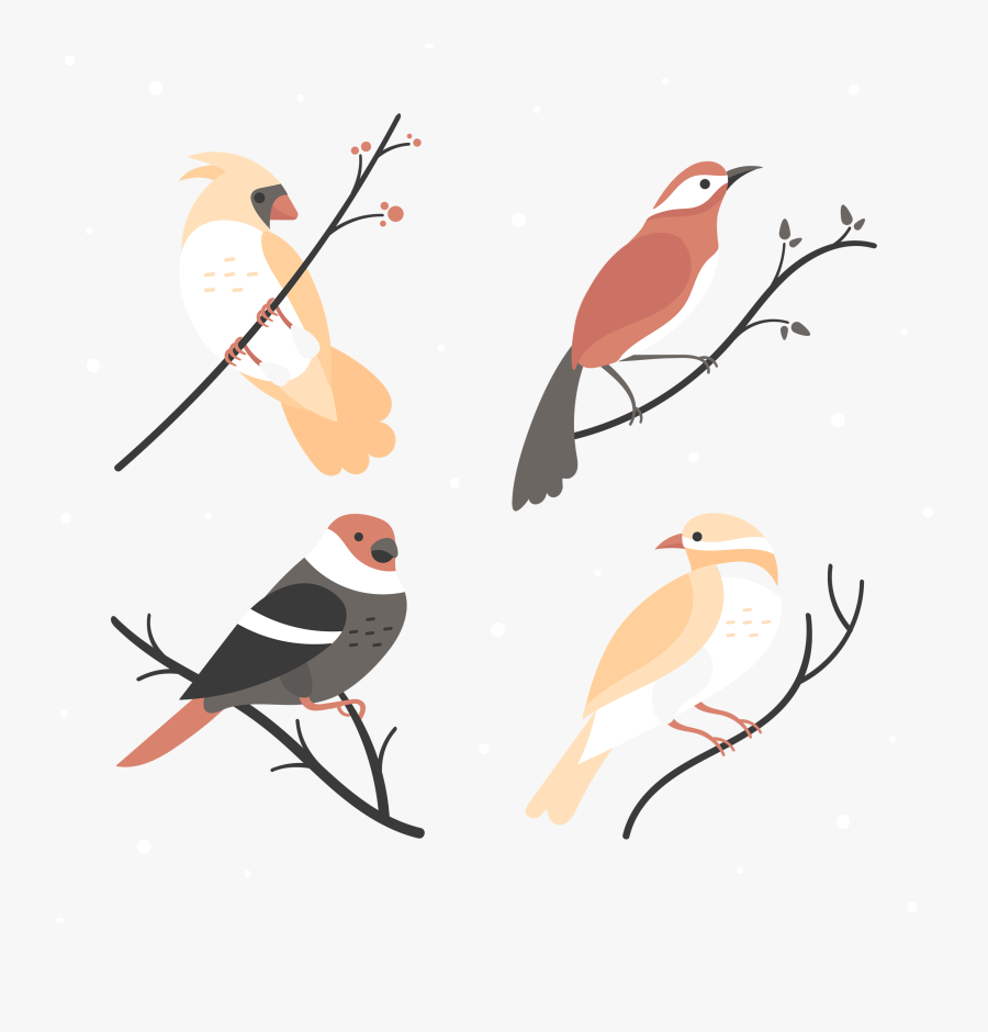 Bird Eurasian Magpie Vector Graphics Design - Winter Bird Vector, Transparent Clipart