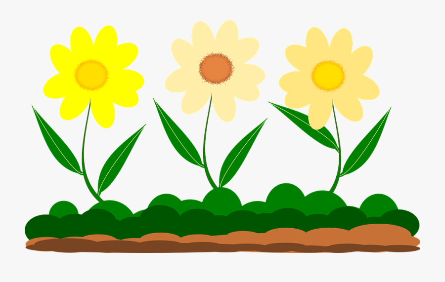 Free Download Best X - Flores No Jardim Png, Transparent Clipart