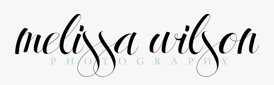 Melissa Wilson Photography - Calligraphy, Transparent Clipart