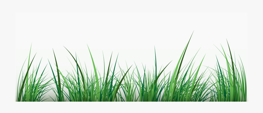 Green Clip Art - Water Grass Vector Png, Transparent Clipart