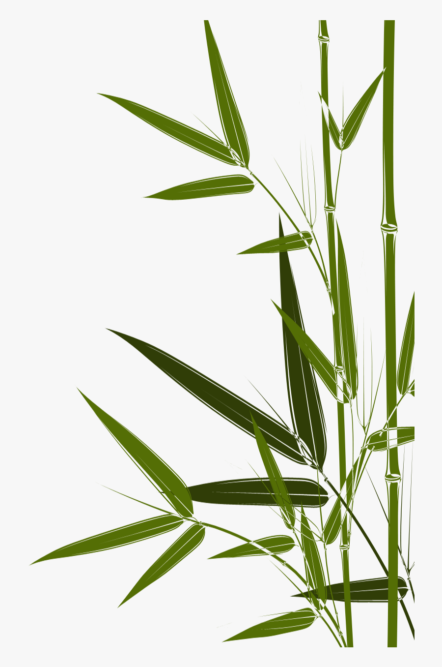 Transparent Bambus Clipart - Crop, Transparent Clipart