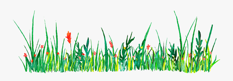 Clip Art Grass Watercolor - Grass Watercolor Png, Transparent Clipart