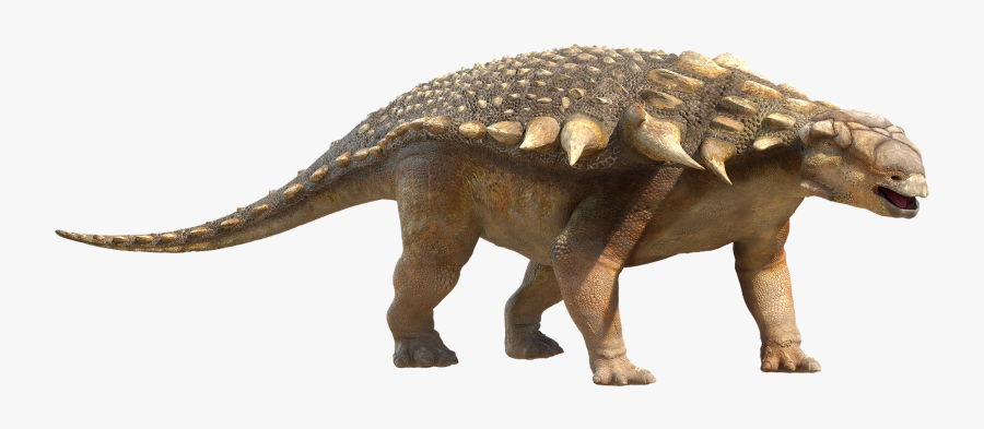 Transparent Dinosaurs Png - Walking With Dinosaurs Edmontonia, Transparent Clipart