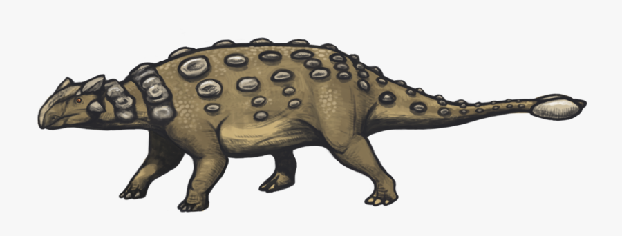 Ankylosaurus Png - De Ankylosaurus, Transparent Clipart
