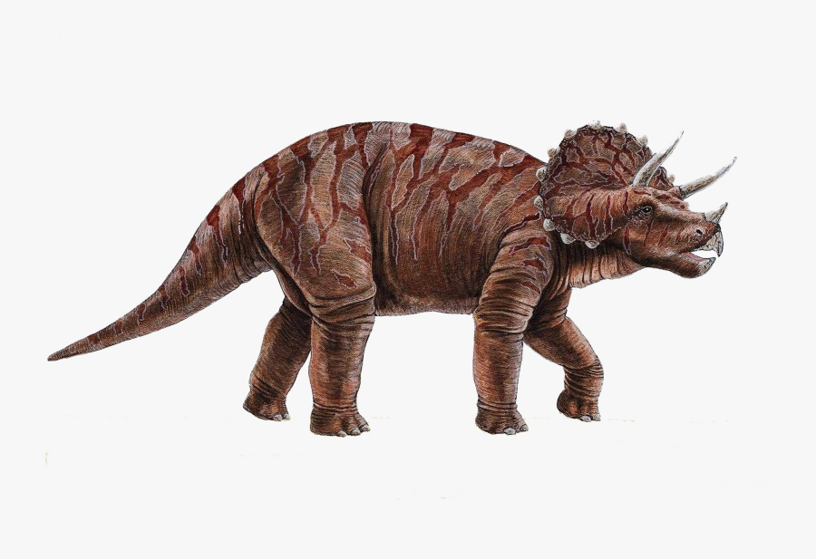 Dinosaur Png - Triceratops Png, Transparent Clipart