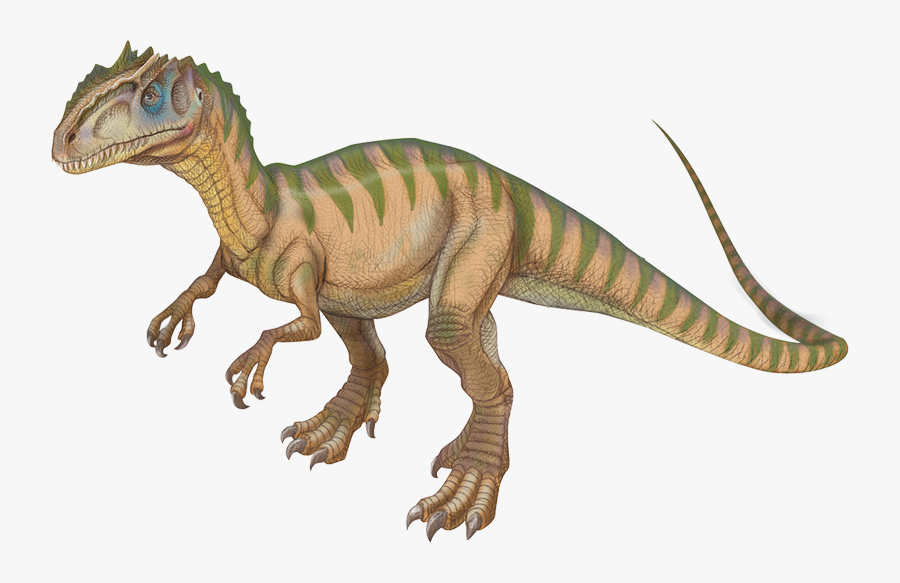 Tyrannosaurus, Transparent Clipart