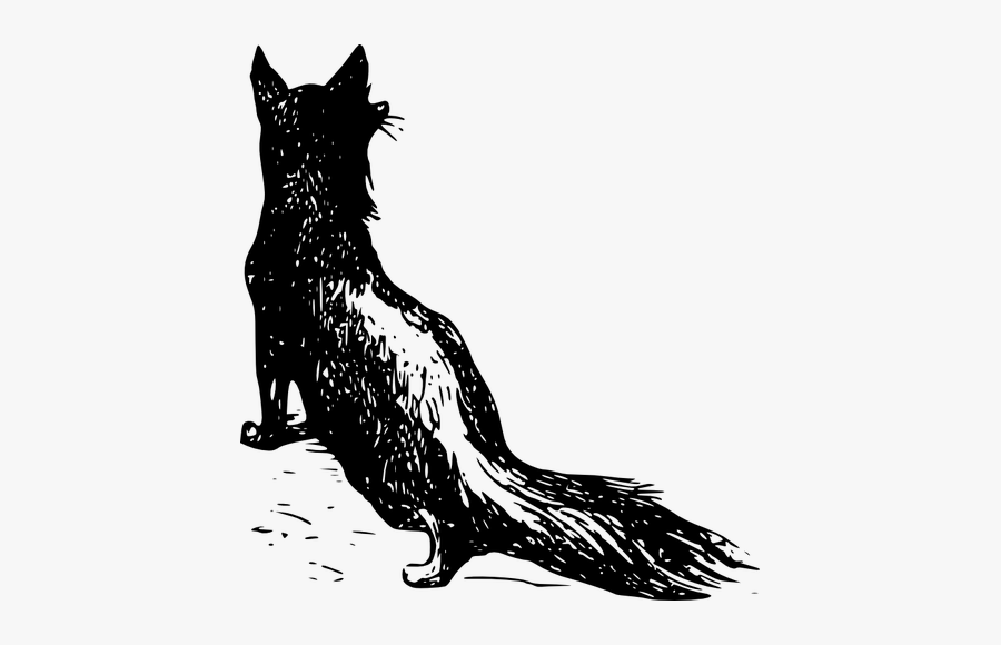 Vector Clip Art Of Fox From The Back - Fox Vintage Png, Transparent Clipart