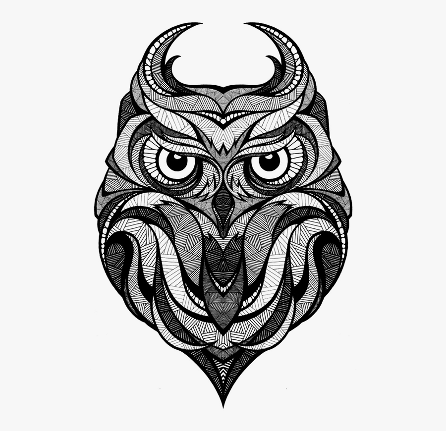 Owl Arctic Fox Drawing Art - Owl Drawings Transparent, Transparent Clipart