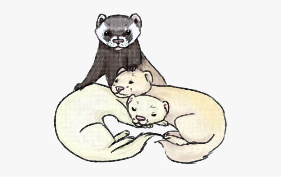 Cartoon, Transparent Clipart