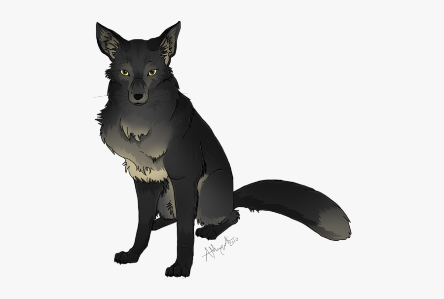 Urban Fox Drawing - Black Fox Drawing, Transparent Clipart