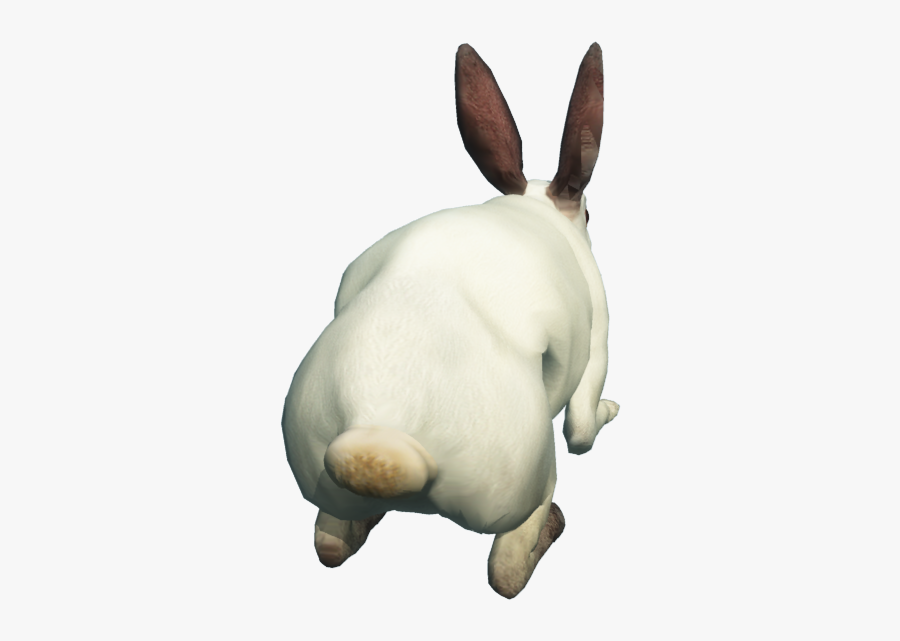 Rabbit Clipart Back - Rabbit From Back Png, Transparent Clipart