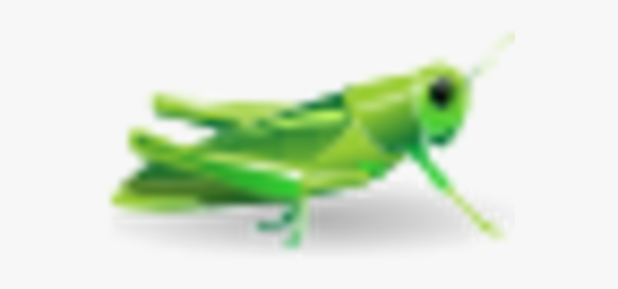 Grasshopper Icon, Transparent Clipart