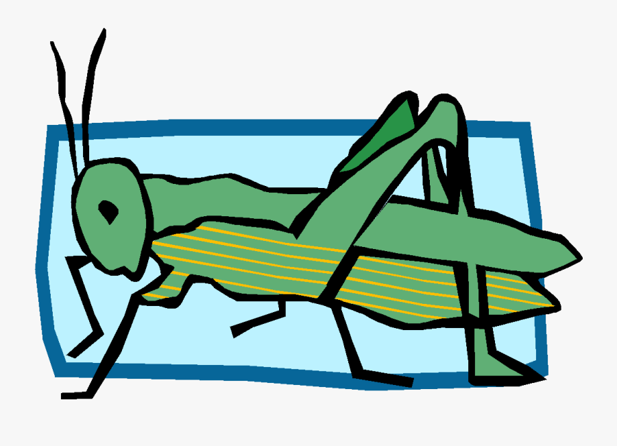 Principles Of Ecology Notes - Primary Consumer Clipart, Transparent Clipart