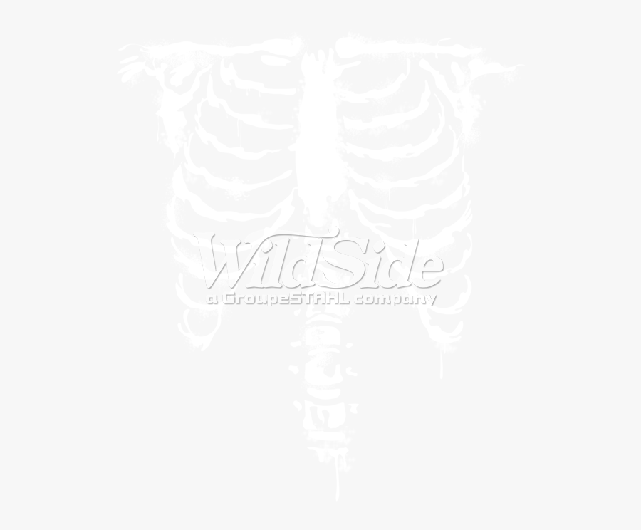 Ribcage Front White Ink - Rib Cage X Ray Png, Transparent Clipart