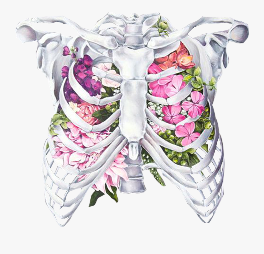 Transparent Human Body Png - Floral Anatomy, Transparent Clipart