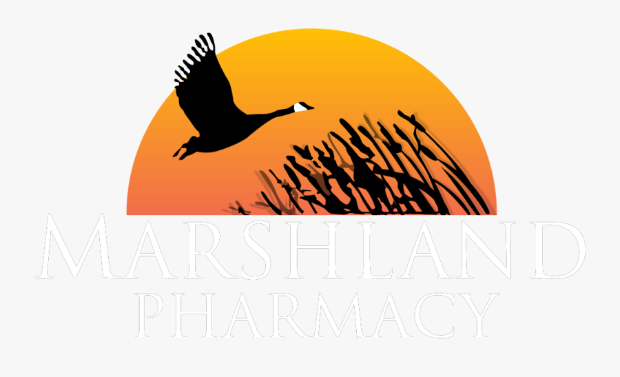 Hawk, Transparent Clipart