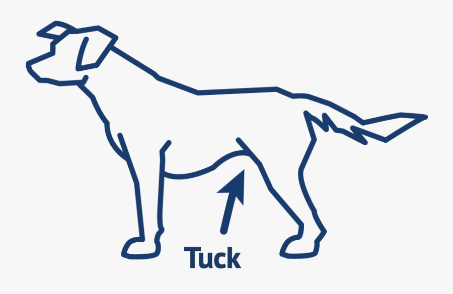 Ancient Dog Breeds, Transparent Clipart