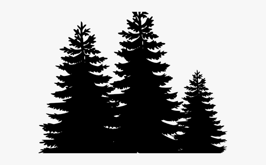 Black And White Tree Clipart, Transparent Clipart