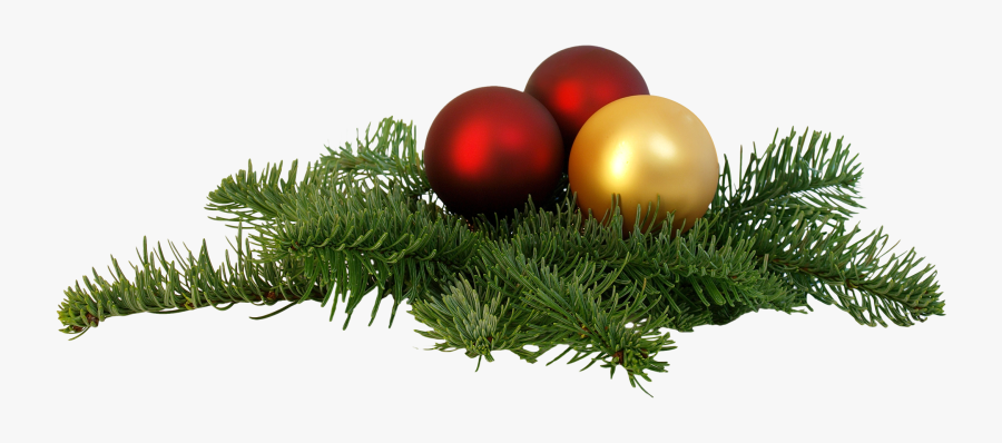 Christmas Tree Branch Png - Christmas Png Transparent Background, Transparent Clipart