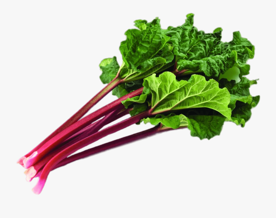 Bundle Of Rhubarb With Leaves - Rhubarb Png, Transparent Clipart