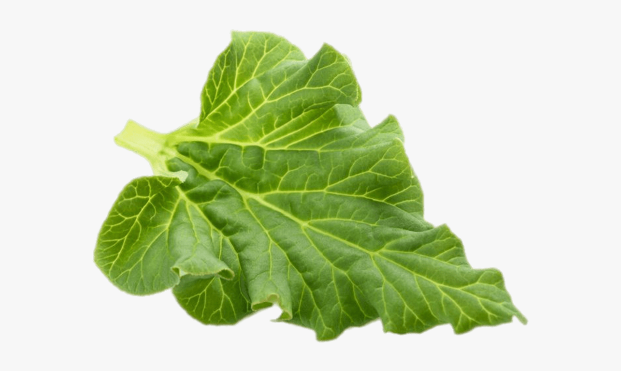 Eating Rhubarb Leaves, Transparent Clipart